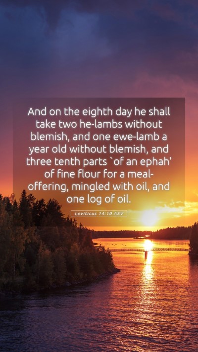 Picture 05 - Leviticus 14:10 ASV Mobile Phone Wallpaper - And on the eighth day he shall take two he-lambs - Mobile Bible Verse Wallpaper