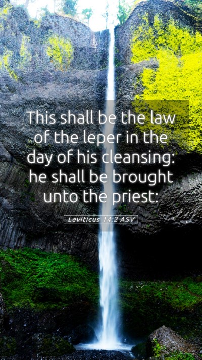Picture 05 - Leviticus 14:2 ASV Mobile Phone Wallpaper - This shall be the law of the leper in the day of - Mobile Bible Verse Wallpaper