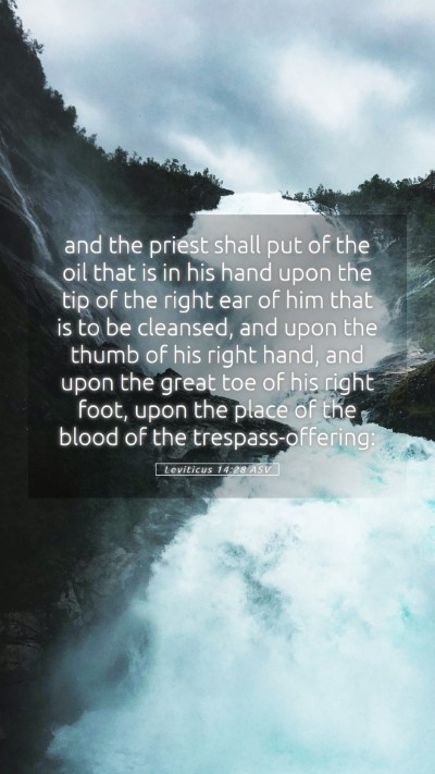 Picture 05 - Leviticus 14:28 ASV Mobile Phone Wallpaper - and the priest shall put of the oil that is in - Mobile Bible Verse Wallpaper