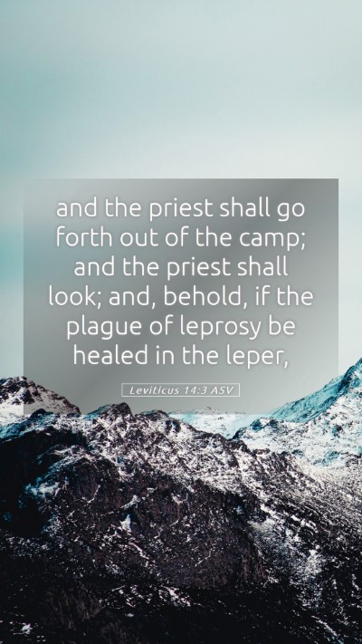 Picture 05 - Leviticus 14:3 ASV Mobile Phone Wallpaper - and the priest shall go forth out of the camp; - Mobile Bible Verse Wallpaper