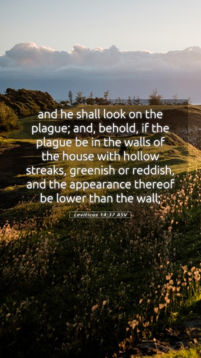 Picture 05 - Leviticus 14:37 ASV Mobile Phone Wallpaper - and he shall look on the plague; and, behold, if - Mobile Bible Verse Wallpaper