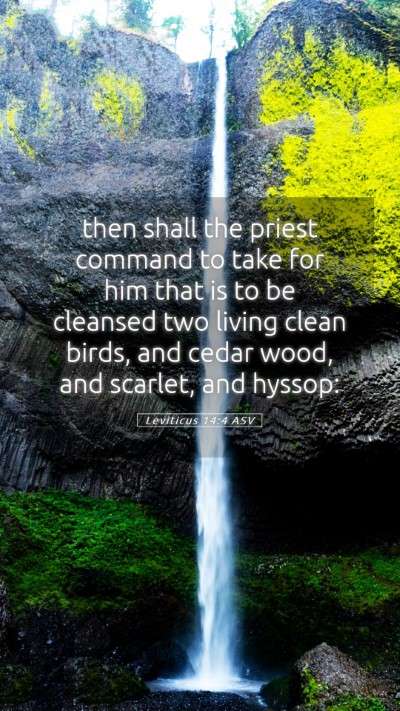 Picture 05 - Leviticus 14:4 ASV Mobile Phone Wallpaper - then shall the priest command to take for him - Mobile Bible Verse Wallpaper