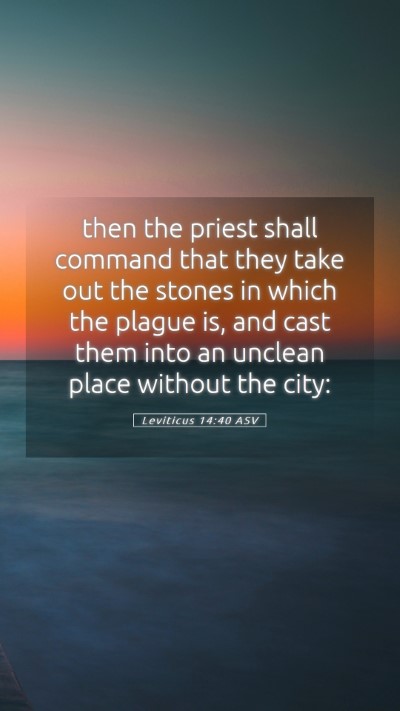 Picture 05 - Leviticus 14:40 ASV Mobile Phone Wallpaper - then the priest shall command that they take out - Mobile Bible Verse Wallpaper