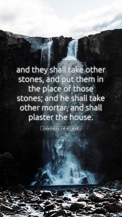 Picture 05 - Leviticus 14:42 ASV Mobile Phone Wallpaper - and they shall take other stones, and put them in - Mobile Bible Verse Wallpaper