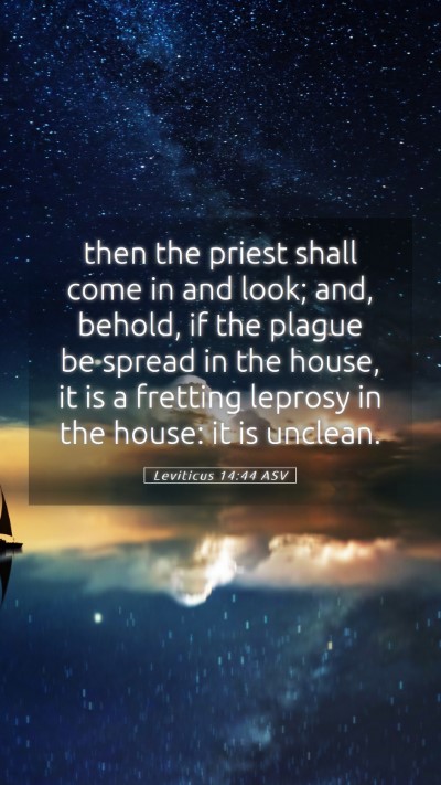 Picture 05 - Leviticus 14:44 ASV Mobile Phone Wallpaper - then the priest shall come in and look; and, - Mobile Bible Verse Wallpaper