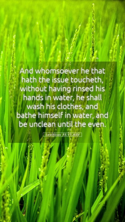 Picture 05 - Leviticus 15:11 ASV Mobile Phone Wallpaper - And whomsoever he that hath the issue toucheth, - Mobile Bible Verse Wallpaper