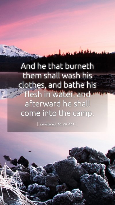 Picture 05 - Leviticus 16:28 ASV Mobile Phone Wallpaper - And he that burneth them shall wash his clothes, - Mobile Bible Verse Wallpaper