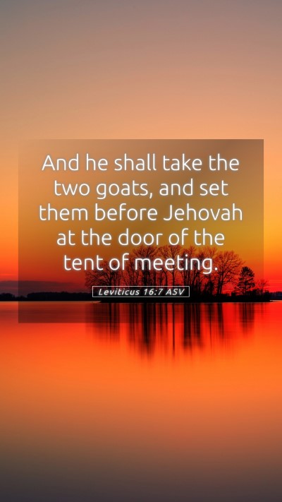 Picture 05 - Leviticus 16:7 ASV Mobile Phone Wallpaper - And he shall take the two goats, and set them - Mobile Bible Verse Wallpaper
