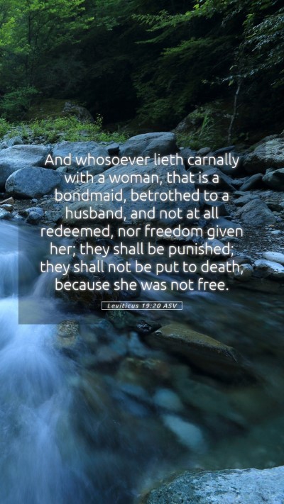 Picture 05 - Leviticus 19:20 ASV Mobile Phone Wallpaper - And whosoever lieth carnally with a woman, that - Mobile Bible Verse Wallpaper