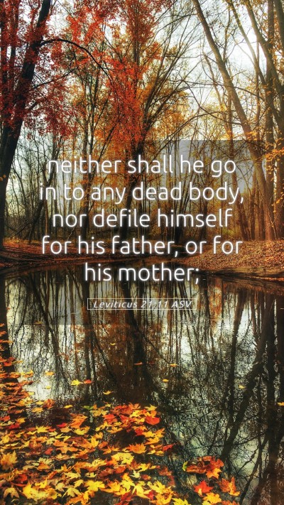 Picture 05 - Leviticus 21:11 ASV Mobile Phone Wallpaper - neither shall he go in to any dead body, nor - Mobile Bible Verse Wallpaper