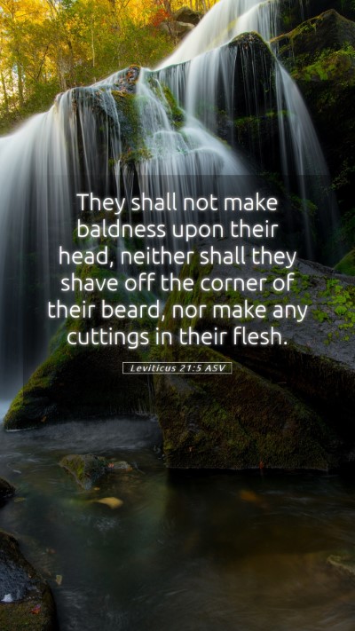 Picture 05 - Leviticus 21:5 ASV Mobile Phone Wallpaper - They shall not make baldness upon their head, - Mobile Bible Verse Wallpaper