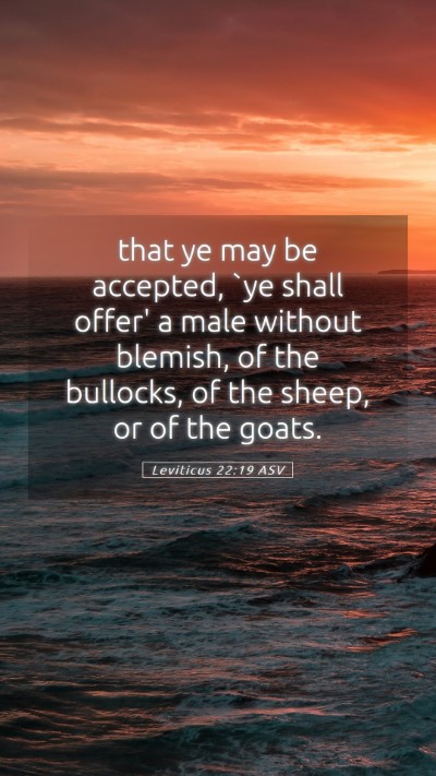 Picture 05 - Leviticus 22:19 ASV Mobile Phone Wallpaper - that ye may be accepted, `ye shall offer' a male - Mobile Bible Verse Wallpaper