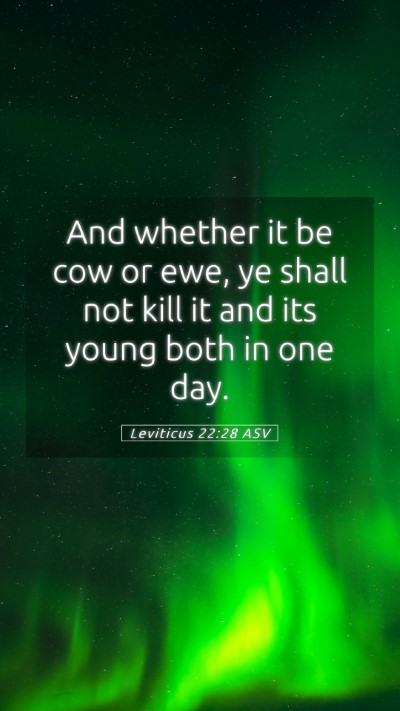 Picture 05 - Leviticus 22:28 ASV Mobile Phone Wallpaper - And whether it be cow or ewe, ye shall not kill - Mobile Bible Verse Wallpaper