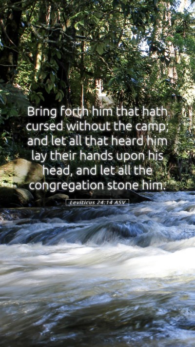 Picture 05 - Leviticus 24:14 ASV Mobile Phone Wallpaper - Bring forth him that hath cursed without the - Mobile Bible Verse Wallpaper