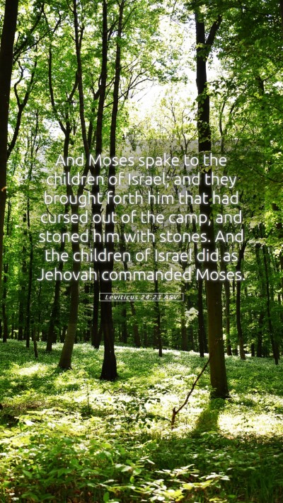 Picture 05 - Leviticus 24:23 ASV Mobile Phone Wallpaper - And Moses spake to the children of Israel; and - Mobile Bible Verse Wallpaper