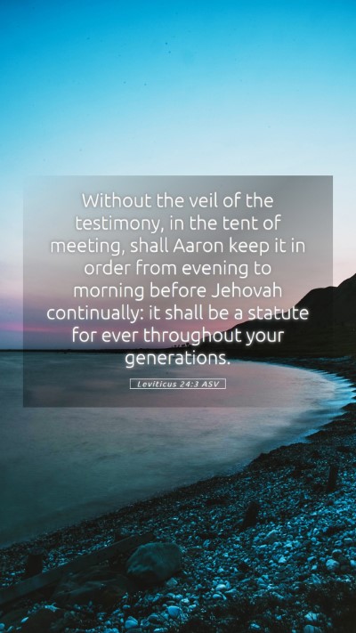 Picture 05 - Leviticus 24:3 ASV Mobile Phone Wallpaper - Without the veil of the testimony, in the tent of - Mobile Bible Verse Wallpaper