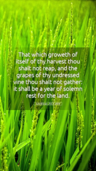 Picture 05 - Leviticus 25:5 ASV Mobile Phone Wallpaper - That which groweth of itself of thy harvest thou - Mobile Bible Verse Wallpaper