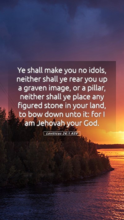 Picture 05 - Leviticus 26:1 ASV Mobile Phone Wallpaper - Ye shall make you no idols, neither shall ye rear - Mobile Bible Verse Wallpaper