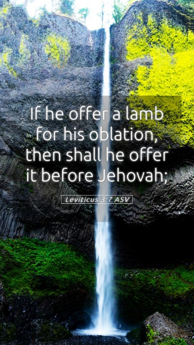 Picture 05 - Leviticus 3:7 ASV Mobile Phone Wallpaper - If he offer a lamb for his oblation, then shall - Mobile Bible Verse Wallpaper