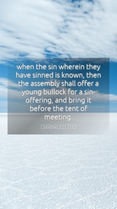 Picture 05 - Leviticus 4:14 ASV Mobile Phone Wallpaper - when the sin wherein they have sinned is known, - Mobile Bible Verse Wallpaper