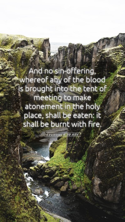 Picture 05 - Leviticus 6:30 ASV Mobile Phone Wallpaper - And no sin-offering, whereof any of the blood is - Mobile Bible Verse Wallpaper