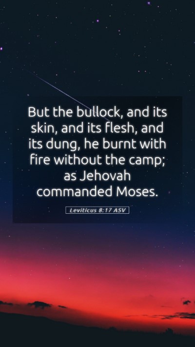 Picture 05 - Leviticus 8:17 ASV Mobile Phone Wallpaper - But the bullock, and its skin, and its flesh, and - Mobile Bible Verse Wallpaper