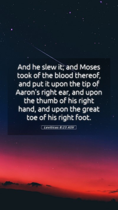 Picture 05 - Leviticus 8:23 ASV Mobile Phone Wallpaper - And he slew it; and Moses took of the blood - Mobile Bible Verse Wallpaper