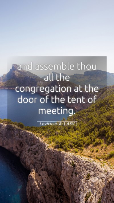 Picture 05 - Leviticus 8:3 ASV Mobile Phone Wallpaper - and assemble thou all the congregation at the - Mobile Bible Verse Wallpaper