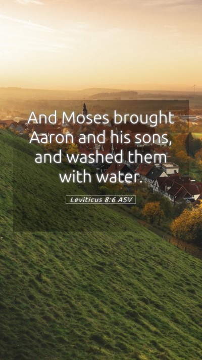 Picture 05 - Leviticus 8:6 ASV Mobile Phone Wallpaper - And Moses brought Aaron and his sons, and washed - Mobile Bible Verse Wallpaper