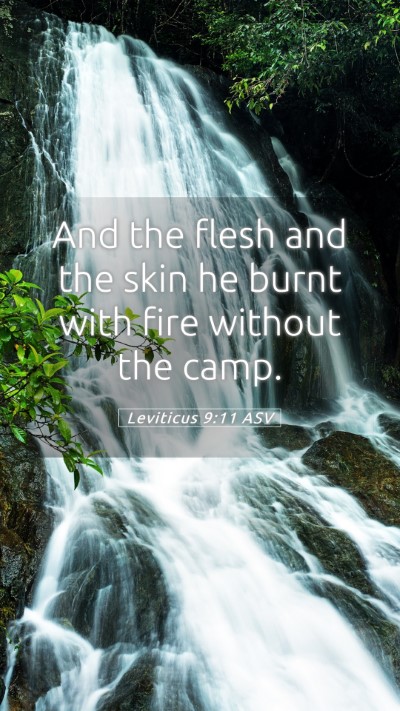 Picture 05 - Leviticus 9:11 ASV Mobile Phone Wallpaper - And the flesh and the skin he burnt with fire - Mobile Bible Verse Wallpaper