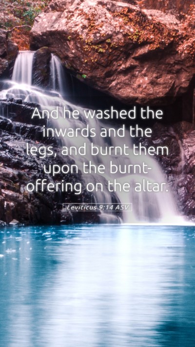 Picture 05 - Leviticus 9:14 ASV Mobile Phone Wallpaper - And he washed the inwards and the legs, and burnt - Mobile Bible Verse Wallpaper