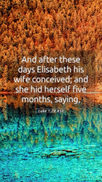 Picture 05 - Luke 1:24 ASV Mobile Phone Wallpaper - And after these days Elisabeth his wife - Mobile Bible Verse Wallpaper