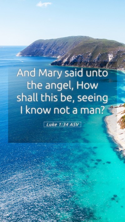 Picture 05 - Luke 1:34 ASV Mobile Phone Wallpaper - And Mary said unto the angel, How shall this be, - Mobile Bible Verse Wallpaper