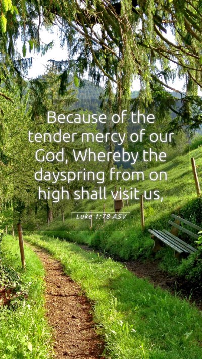 Picture 05 - Luke 1:78 ASV Mobile Phone Wallpaper - Because of the tender mercy of our God, Whereby - Mobile Bible Verse Wallpaper