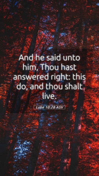 Picture 05 - Luke 10:28 ASV Mobile Phone Wallpaper - And he said unto him, Thou hast answered right: - Mobile Bible Verse Wallpaper