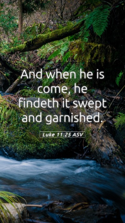 Picture 05 - Luke 11:25 ASV Mobile Phone Wallpaper - And when he is come, he findeth it swept and - Mobile Bible Verse Wallpaper