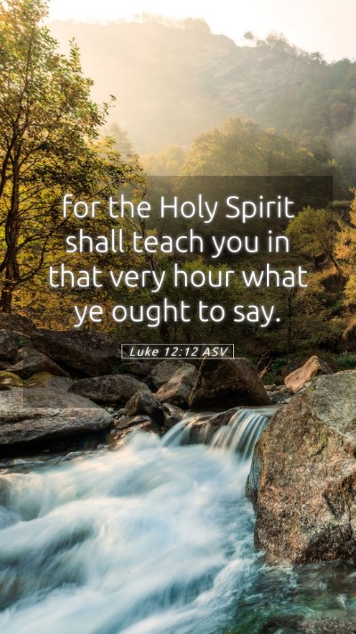 Picture 05 - Luke 12:12 ASV Mobile Phone Wallpaper - for the Holy Spirit shall teach you in that very - Mobile Bible Verse Wallpaper