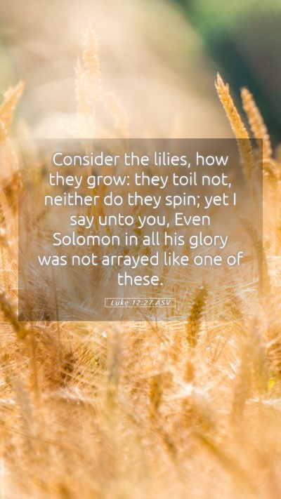 Picture 05 - Luke 12:27 ASV Mobile Phone Wallpaper - Consider the lilies, how they grow: they toil - Mobile Bible Verse Wallpaper