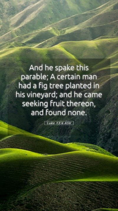 Picture 05 - Luke 13:6 ASV Mobile Phone Wallpaper - And he spake this parable; A certain man had a - Mobile Bible Verse Wallpaper