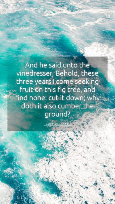 Picture 05 - Luke 13:7 ASV Mobile Phone Wallpaper - And he said unto the vinedresser, Behold, these - Mobile Bible Verse Wallpaper