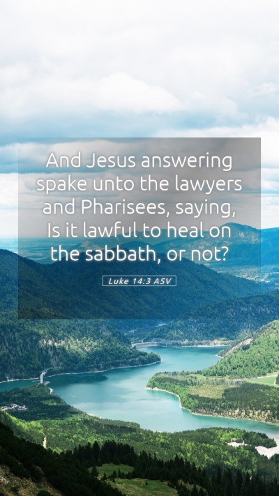 Picture 05 - Luke 14:3 ASV Mobile Phone Wallpaper - And Jesus answering spake unto the lawyers and - Mobile Bible Verse Wallpaper