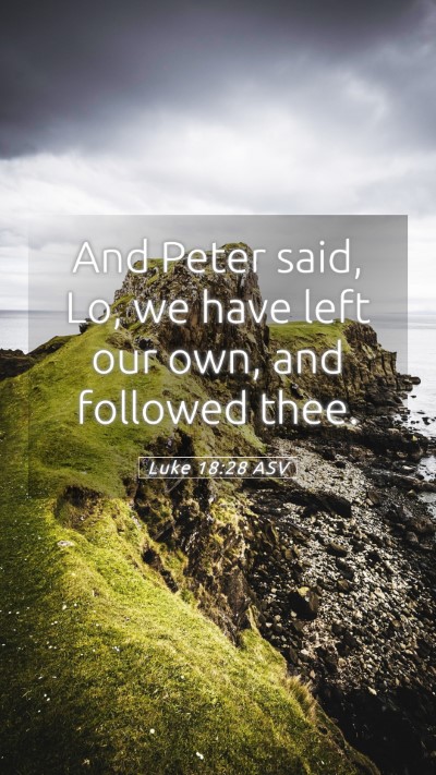 Picture 05 - Luke 18:28 ASV Mobile Phone Wallpaper - And Peter said, Lo, we have left our own, and - Mobile Bible Verse Wallpaper
