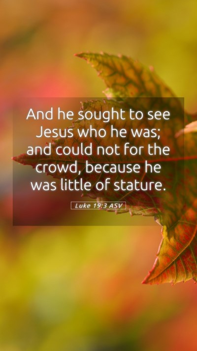 Picture 05 - Luke 19:3 ASV Mobile Phone Wallpaper - And he sought to see Jesus who he was; and could - Mobile Bible Verse Wallpaper