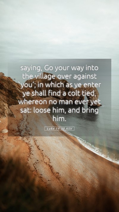 Picture 05 - Luke 19:30 ASV Mobile Phone Wallpaper - saying, Go your way into the village over against - Mobile Bible Verse Wallpaper