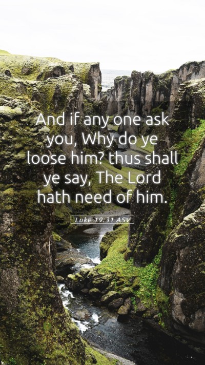 Picture 05 - Luke 19:31 ASV Mobile Phone Wallpaper - And if any one ask you, Why do ye loose him? thus - Mobile Bible Verse Wallpaper