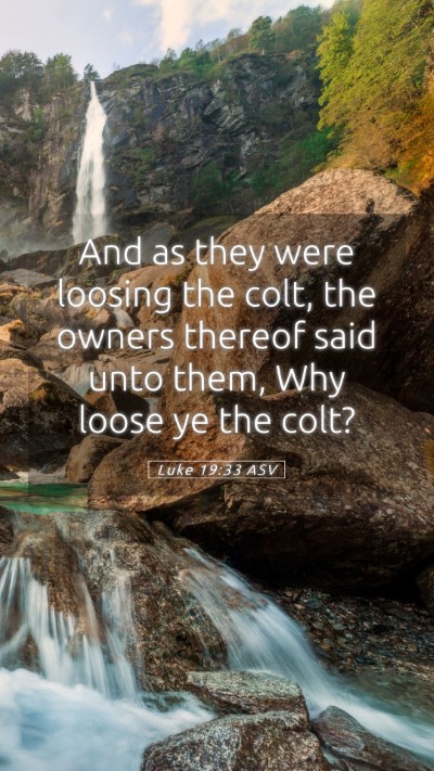 Picture 05 - Luke 19:33 ASV Mobile Phone Wallpaper - And as they were loosing the colt, the owners - Mobile Bible Verse Wallpaper