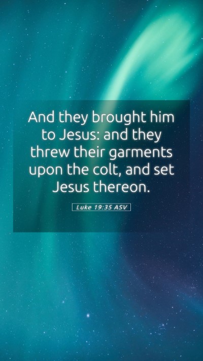 Picture 05 - Luke 19:35 ASV Mobile Phone Wallpaper - And they brought him to Jesus: and they threw - Mobile Bible Verse Wallpaper