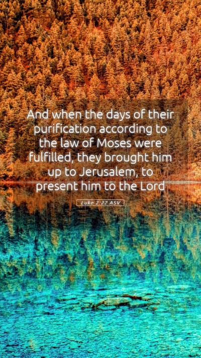 Picture 05 - Luke 2:22 ASV Mobile Phone Wallpaper - And when the days of their purification according - Mobile Bible Verse Wallpaper