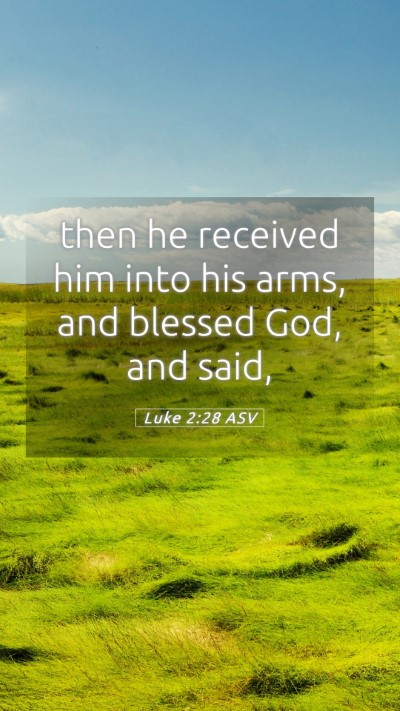 Picture 05 - Luke 2:28 ASV Mobile Phone Wallpaper - then he received him into his arms, and blessed - Mobile Bible Verse Wallpaper