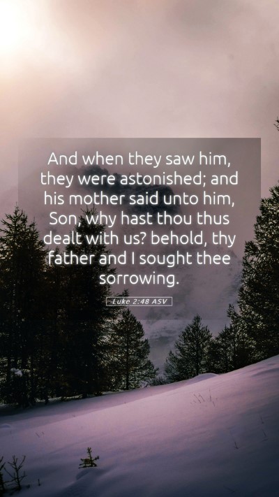 Picture 05 - Luke 2:48 ASV Mobile Phone Wallpaper - And when they saw him, they were astonished; and - Mobile Bible Verse Wallpaper